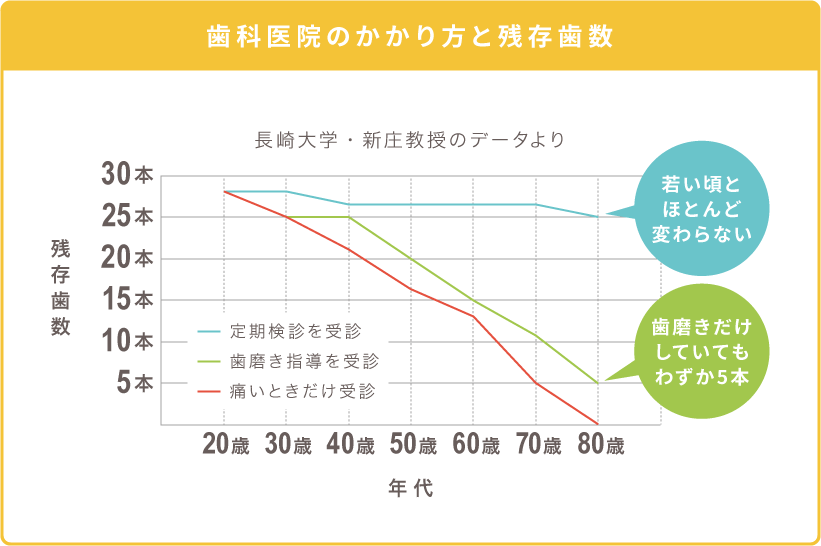 歯科医院のかかり方と残存歯数